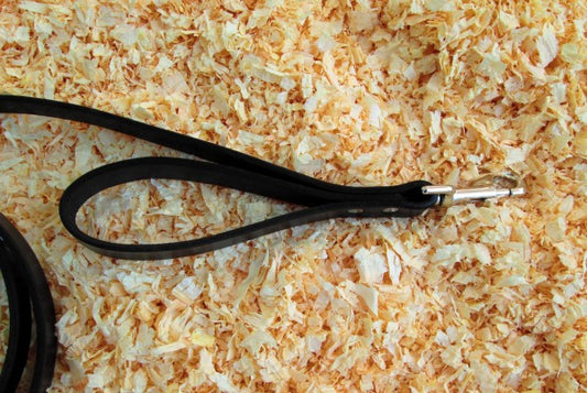 Leash - Burgundy Double Handle