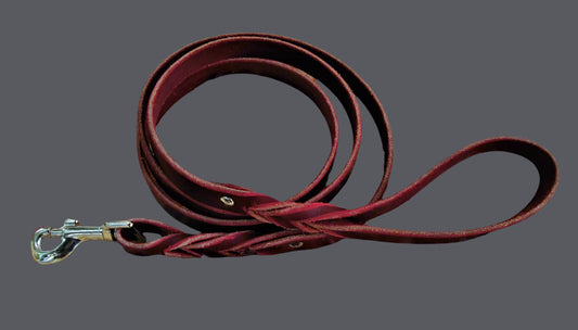 Leash - Burgundy Twist