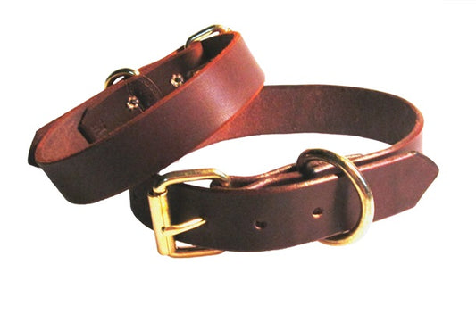 Brown Dog Collar