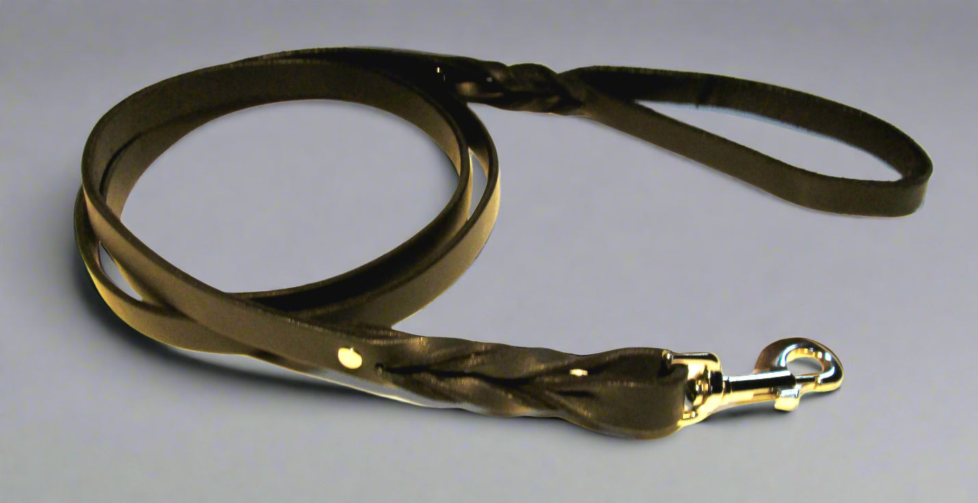 Leash - Black Twist