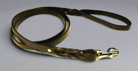 Leash - Black Twist
